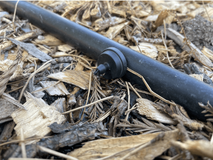 drip irrigation