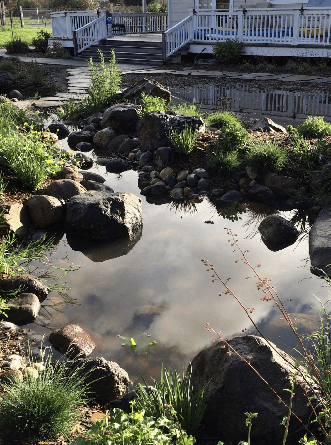 Rain garden, design and photo by April Owens